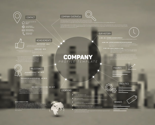 矢量公司信息图表概述设计模板素材图片