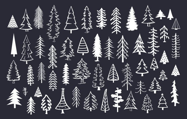 收集在黑色背景上的白色松树冷杉针叶树素材图片