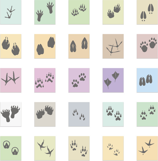 剪影动物，鸟类和哺乳动物脚印设置向量黑色图标上的颜色贴纸图片下载