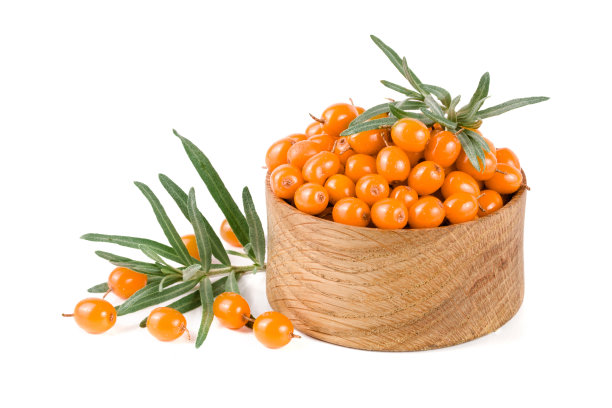 沙棘。新鲜成熟的浆果与树叶在一个木碗孤立的白色背景微距图片下载