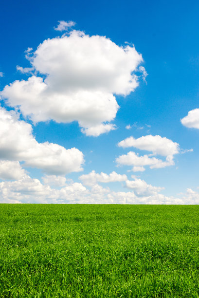 绿草蓝天白云图片下载