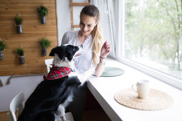 美丽的女人在家里玩她的快乐的狗图片下载