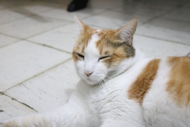 闭上眼睛图片下载