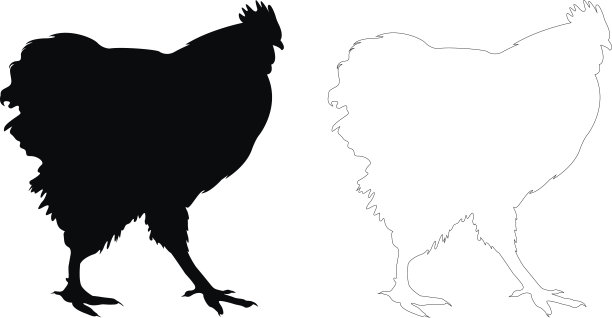 鸡鸟剪影图片下载