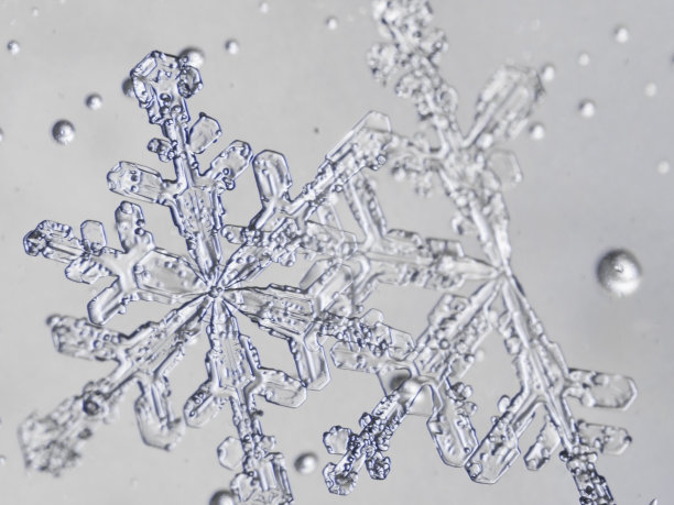 真正的雪花图片下载