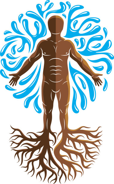 肌肉的人的矢量图形插图，个人创建的树根和被一个水球包围。身体清洁理念，另类医学主题图片。图片下载