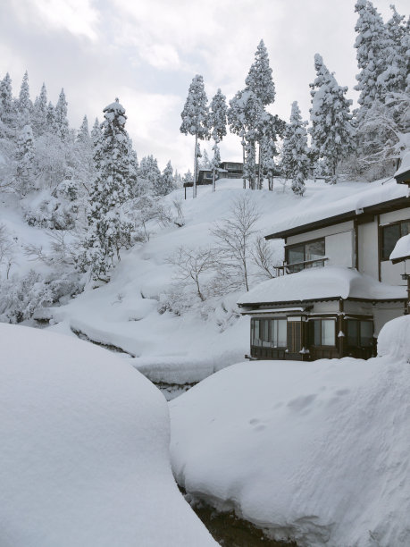 冬天的日本村庄图片下载