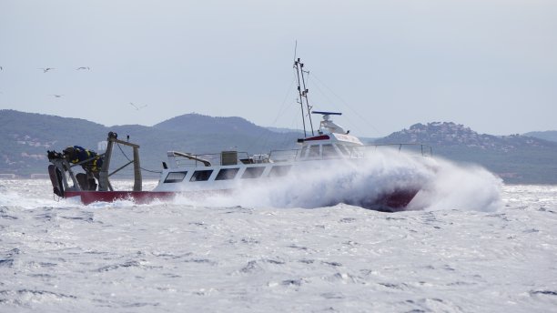 渔船在波涛汹涌的海面上与鸟图片下载