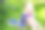 可爱的小女孩在有机蓝莓农场采摘新鲜浆果图片下载