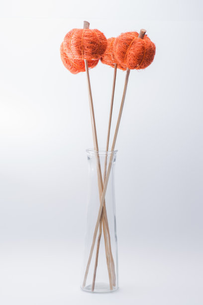 把南瓜串在花瓶里图片下载