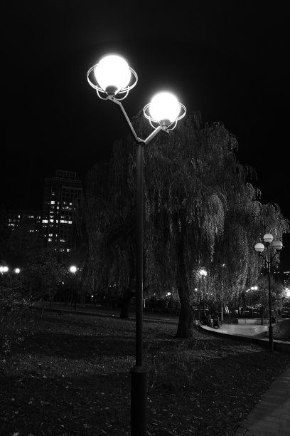 傍晚公园里灯火通明图片下载