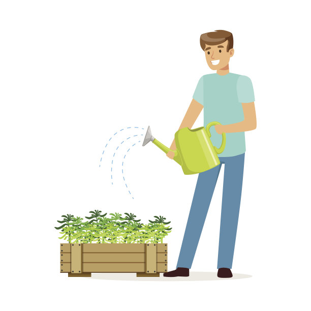 年轻男子微笑着在木盒子里浇水，家庭丈夫在家里工作矢量插画图片下载