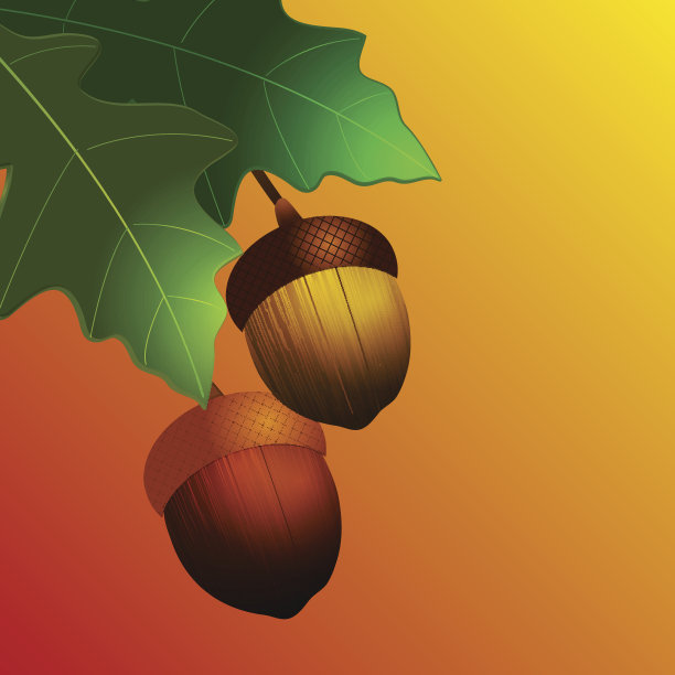 黄色和红色背景上有叶子的秋天的橡子图片下载