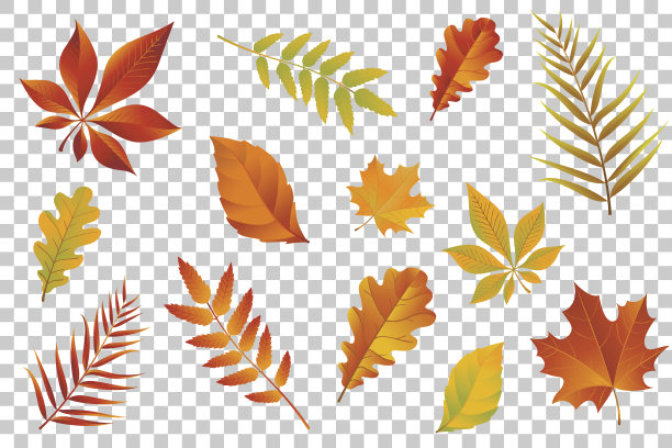 叶子图片素材ID：309823386