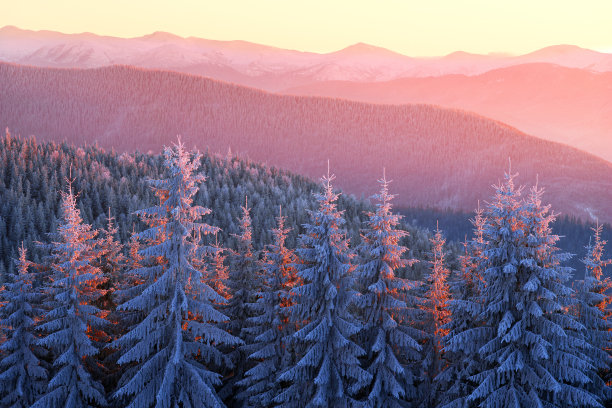 喀尔巴阡的太阳和霜冻图片下载