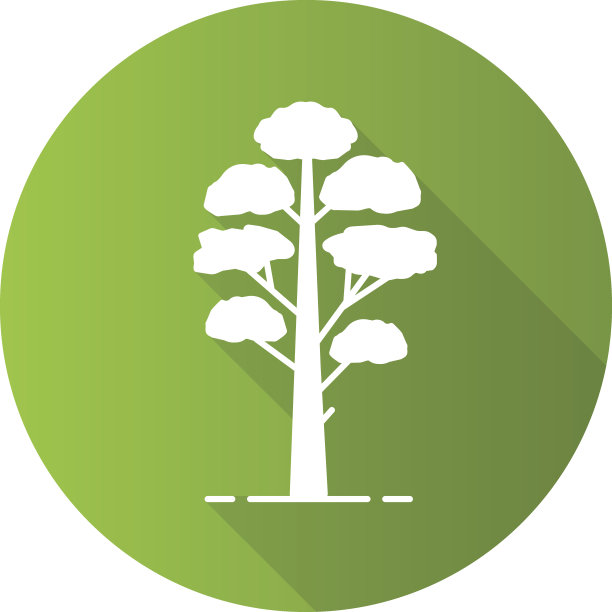 松树图标图片下载