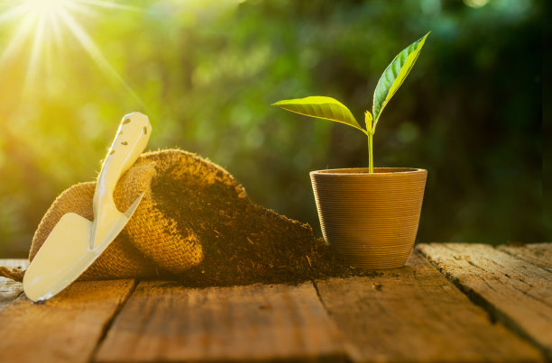 盆栽肥料袋在绿色和阳光的背景素材图片