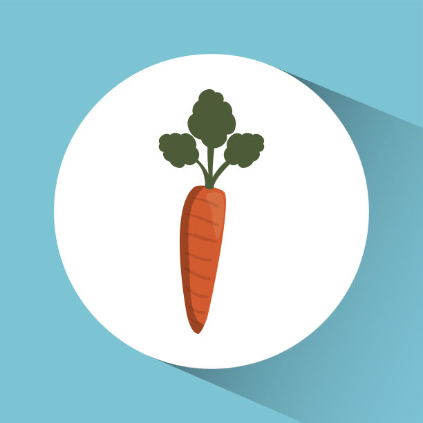 胡萝卜图标。营养与有机食品设计。矢量图形图片下载