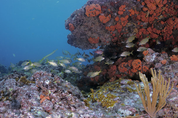 水下景观图片下载
