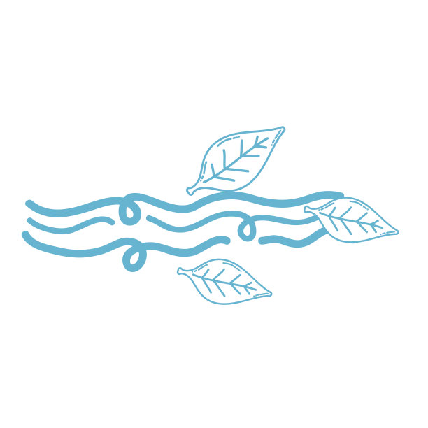 线自然风天气与叶元素图片下载