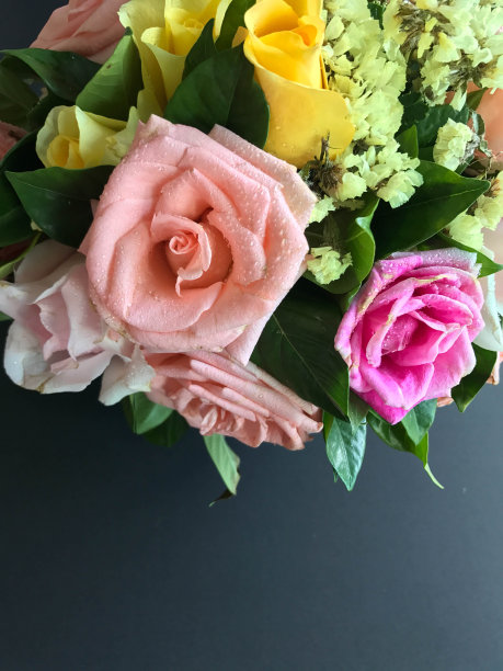 有书写空间的玫瑰花束图片下载