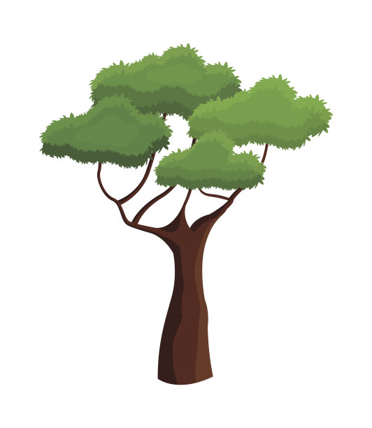 树木植物自然生态分枝图片下载