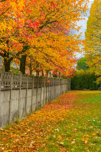 秋天的风景图片下载