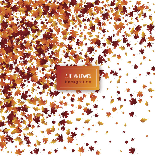 白色背景上的秋叶。图片下载