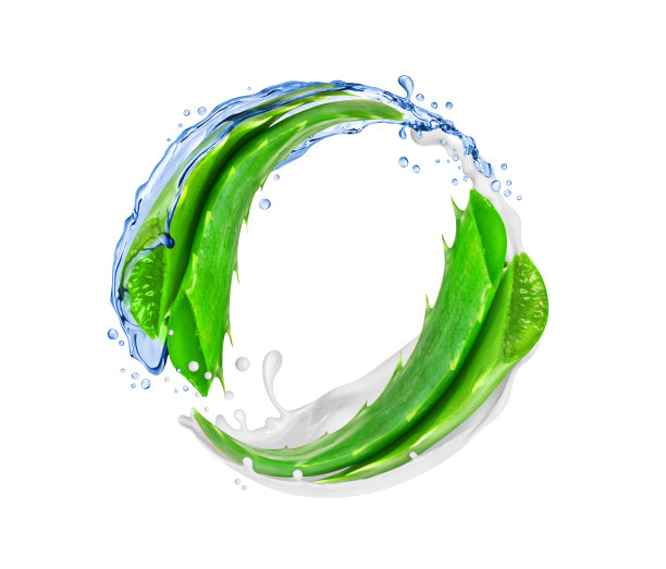 芦荟在水和奶油中旋转，孤立在白色背景上图片下载