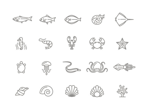 一组矢量鱼和海产品线图标。虾、牡蛎、鱿鱼、蟹、鳗、河豚、龙虾、鲤鱼、鲟鱼、水母、章鱼、海龟、海星、珊瑚、卖、海马等。可编辑的中风。图片下载
