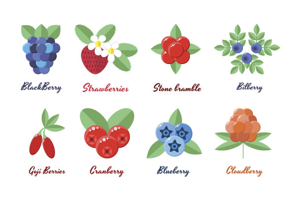 矢量插图。浆果。草莓、蓝莓、蓝图片下载