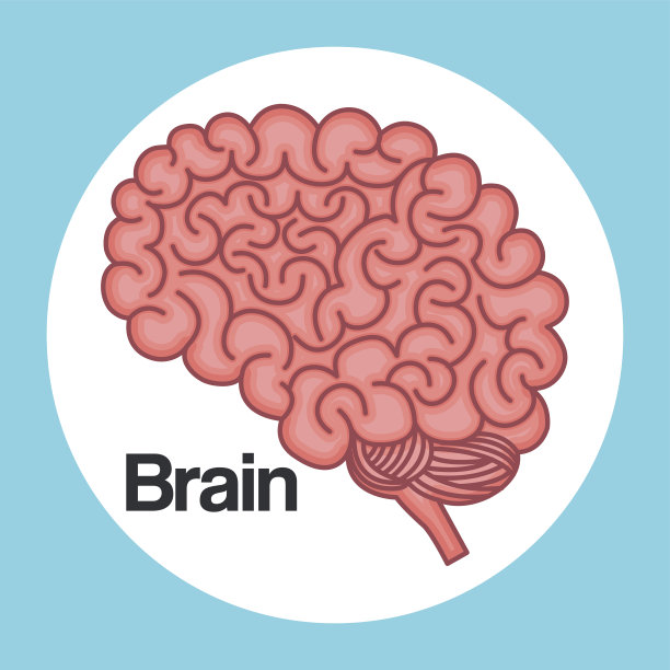 大脑思考思想创意创新图片下载