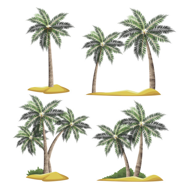 海滩上树的手掌图片下载