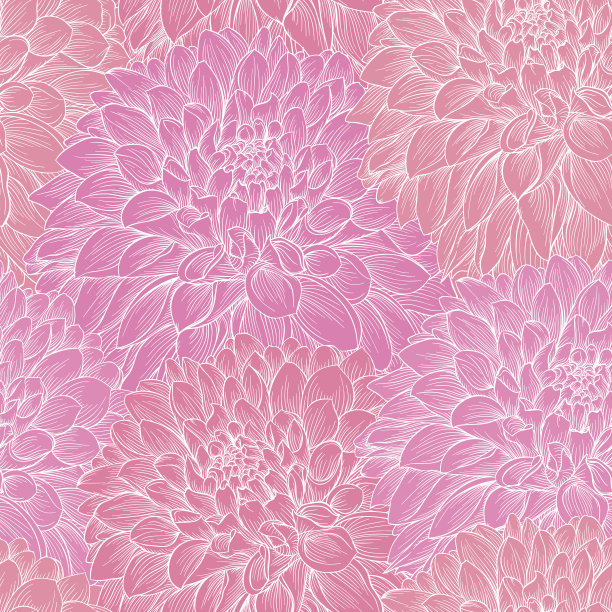 美丽的单色无缝背景粉红色大丽花手绘。婚礼、生日、情人节、母亲节等节日贺卡、请柬设计素材图片