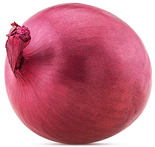 红洋葱图片下载