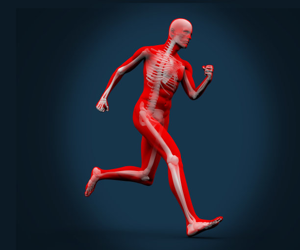 在蓝色背景下运行的数字身体图片下载