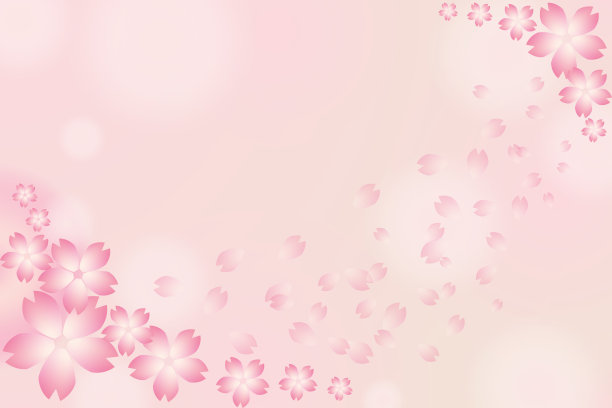 美丽的日本樱花，花背景卡，樱花。粉红色的樱花图片下载