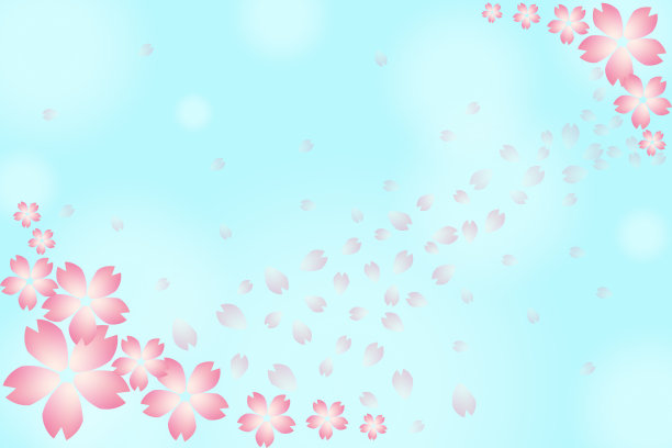 美丽的日本樱花，花背景卡，樱花。粉红色的樱花在新鲜的蓝色背景上图片下载