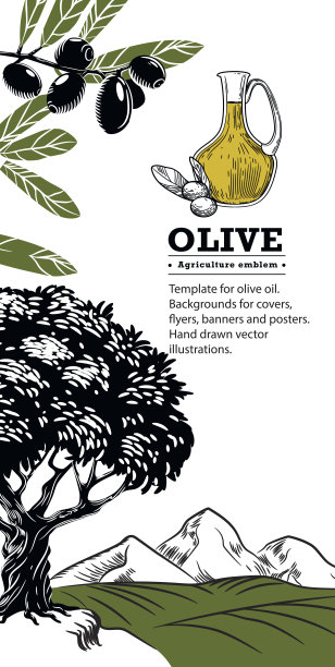 矢量图像的罐子与橄榄油，橄榄枝和橄榄树。背景的封面，传单，横幅和海报。手绘矢量图图片下载