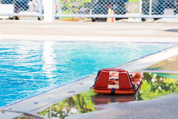 长脊柱板图片下载