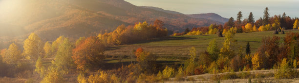 美丽的金色阳光在秋天的风景在山。喀尔巴阡山脉的清晨。山村秋色斑斓。图片下载