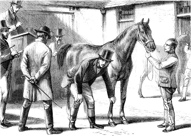 在市场上检查马的人(维多利亚插图)图片下载