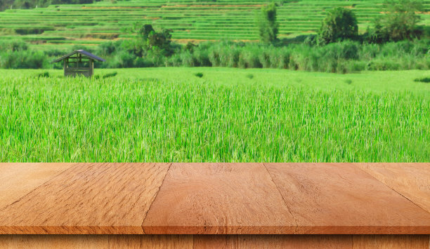 木板、木板或以稻田为背景的桌面。图片下载