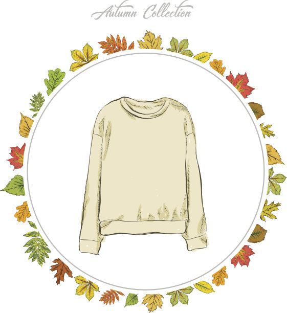 套头毛衣，手绘衣服。秋天收集。秋叶的框架。矢量插图。图片下载