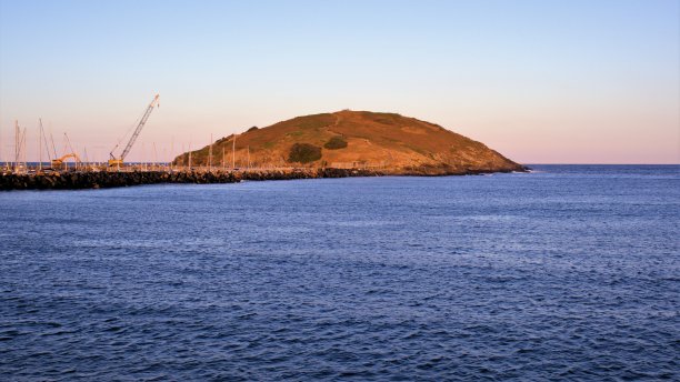 澳大利亚新南威尔士州科夫斯港的野鸟岛图片下载