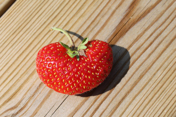 衷心草莓图片下载