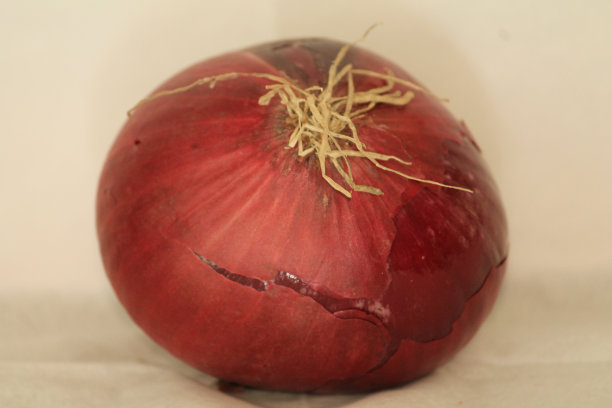 红洋葱图片下载