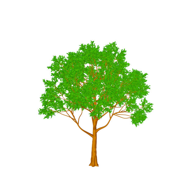 苹果树。孤立在白色背景上。卡通风格。图片下载