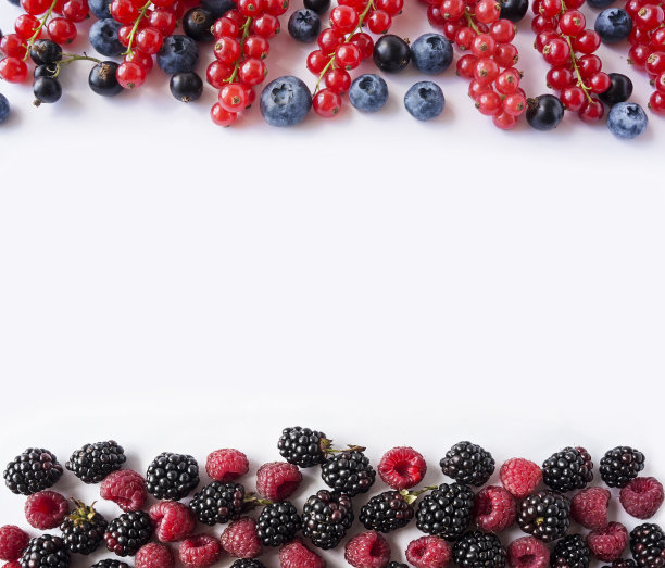 从白色上分离出的黑蓝色和红色浆果。成熟的蓝莓，黑加仑子，黑莓和红加仑子，覆盆子。浆果在图像边界与文本复制空间。背景的浆果。前视图。各种新鲜的夏季浆果在白色的背景。图片下载