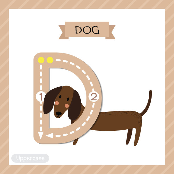 大写字母D跟踪。站的狗图片下载